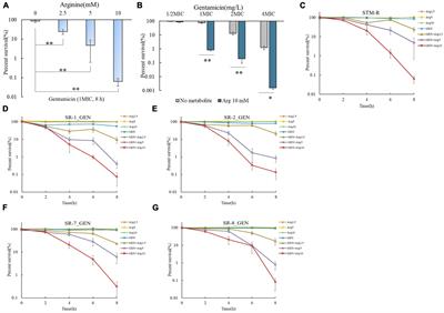 Alkaline arginine promotes the gentamicin-mediated killing of drug-resistant Salmonella by increasing NADH concentration and proton motive force